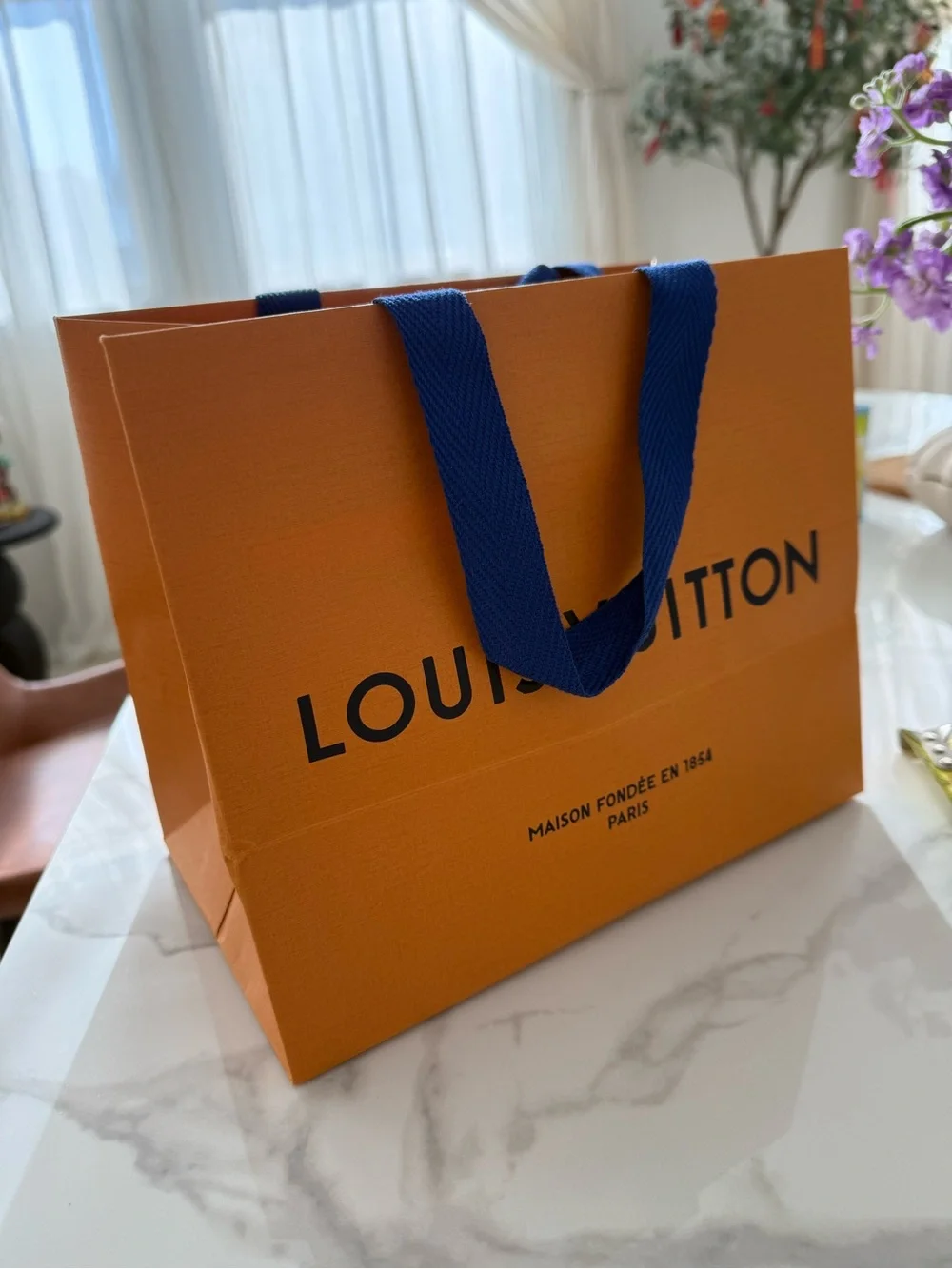 Louis Vuitton Medium Size Reusable Shopping Bag